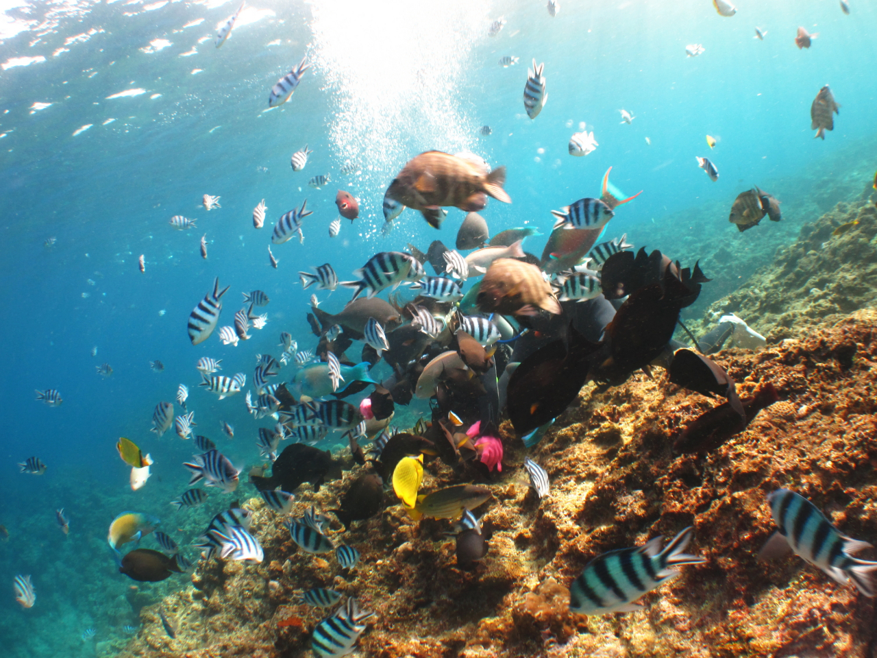 R̋Bɕ܂āAv薞iĂ@ǂ̂Xł͂܂IX͎MāAql̉ꎞԂŷɂĒ܂I