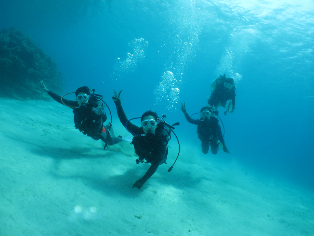 ERɉjŉ𖞋iĂ܂Bd͂ŉjE͉FƓIvyŒ