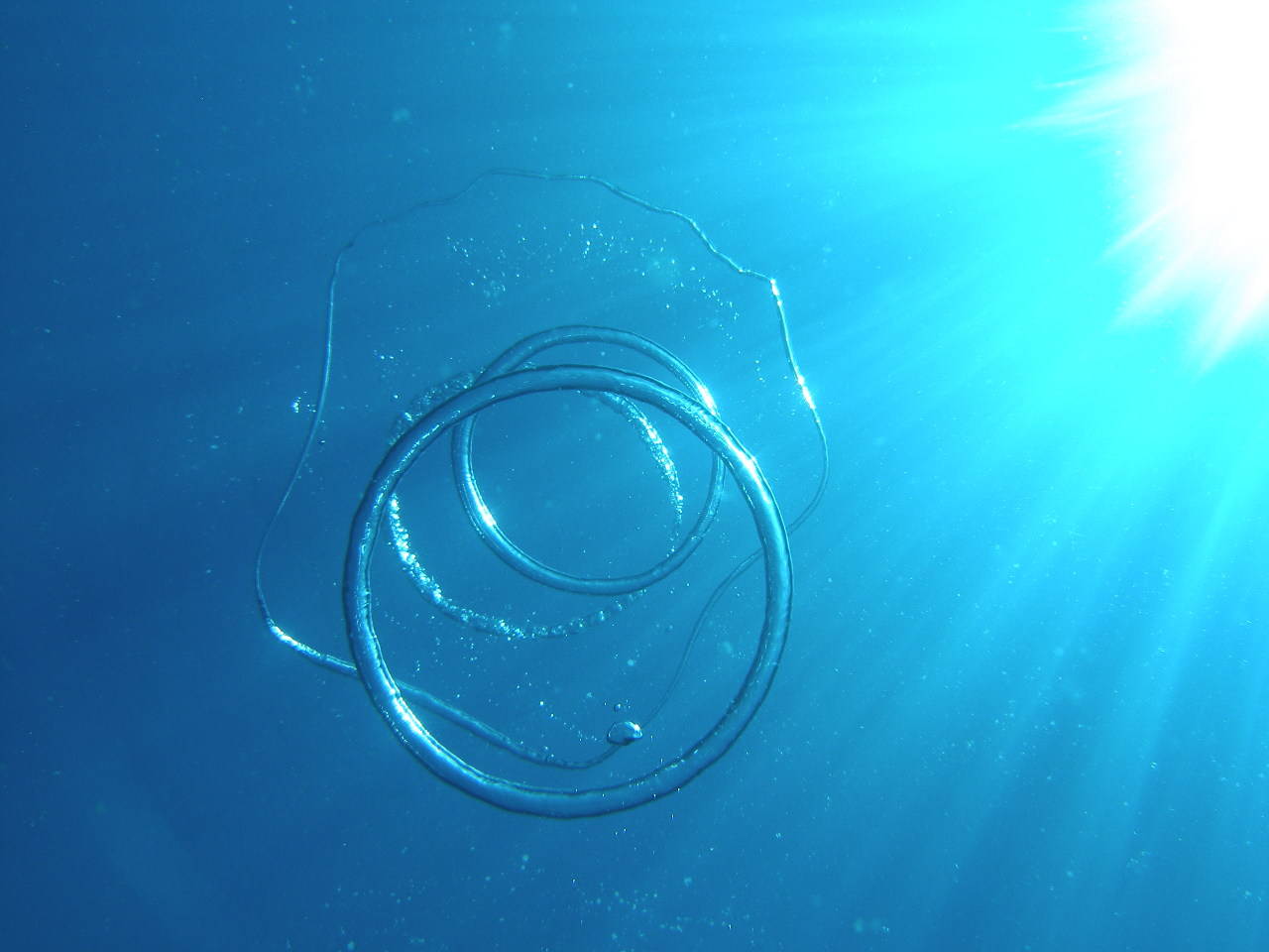 SS|JÂĂ܂BcA[͏ΊŊybg[ɁIΊ炪SƍlĂASKChׂ̍₩Ȑڋqy݂ɂĂĂ