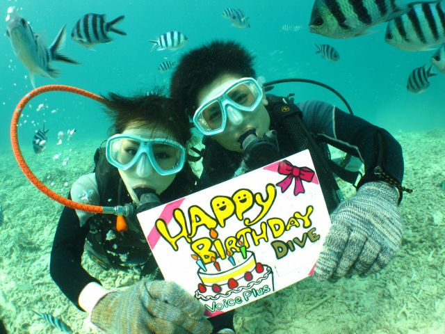 SŃcA[͊JÂ܂BcA[͏ΊŊybg[ɁISKChׂ̍₩Ȑڋqy݂Ɂ􂢂܂łKɁB