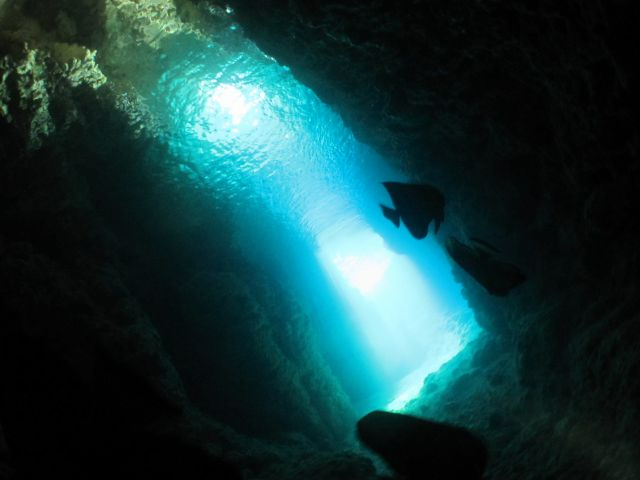 ō̊̌񑩂܂_IŊu̓AvBs΂킩IfGȐEւē܂I