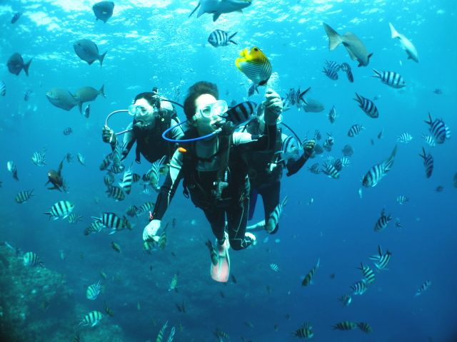 ȂėAĉjꍇ܂B݂ȂŒǂE𖞋ičs܂傤Bo҂劽}łB