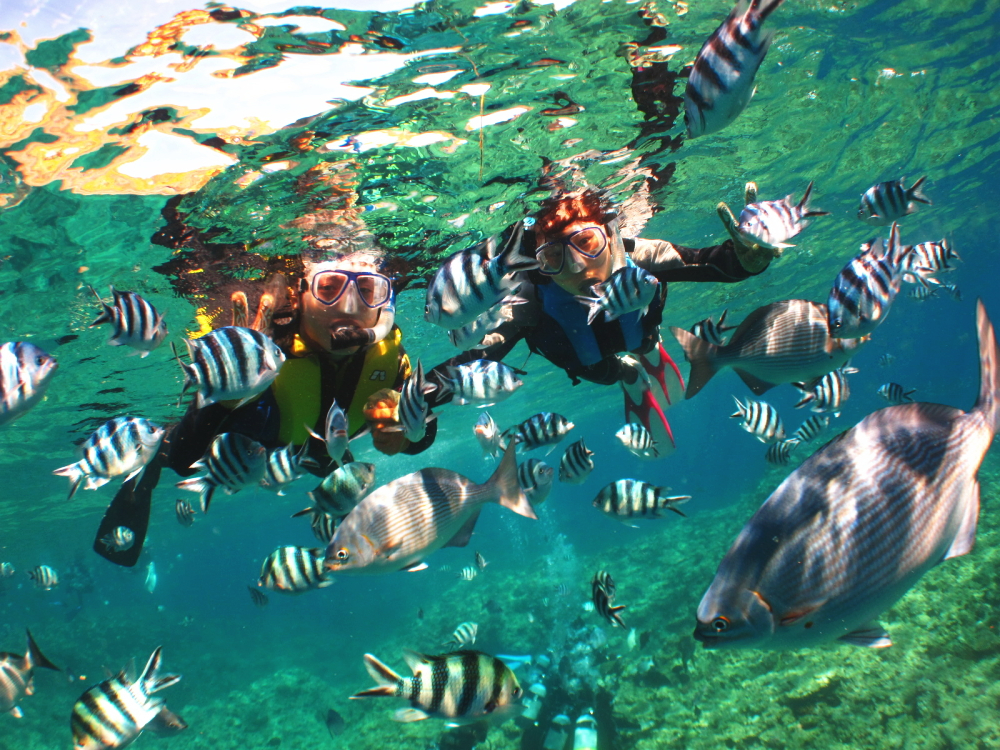 R̋Bɕ܂āAv薞i܂傤@ǂ̂Xł͂܂IX͎MāAF܂̉ꎞԂŷɂĒ܂I