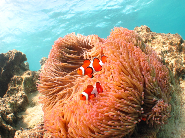 lXȐɏo܂ƂĂj܁[BDӂꂠȂĂB