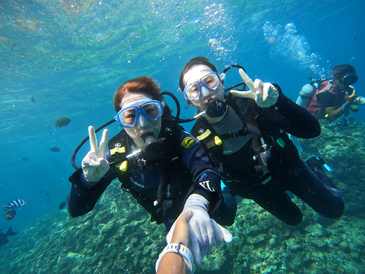 1O[vl̑ݐ؃KChłē܂B߂Ă̕|ȂΑvIqł̃T|[gčs܂Bs܂傤B