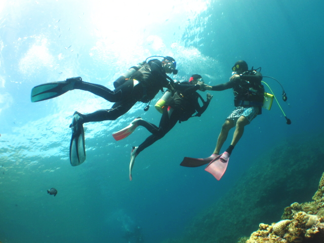 1O[vl̑ݐ؃KChłē܂B߂Ă̕|ȂΑvIqł̃T|[gčs܂Bs܂傤B