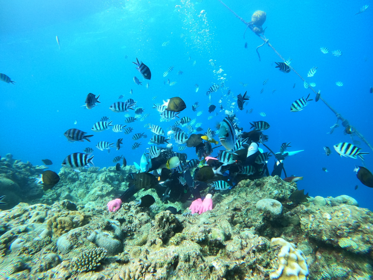 }c[}Őē܂B߂Ă̕AsȕSĂQqł̃T|[gňSłB