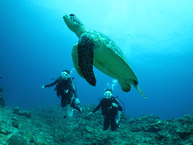 T_ă_CrOɍsƂĨA[`蔲IR̃TS̒jIqlꂼɍ킹cA[JÂĂ܂BΊ炠ӂCB