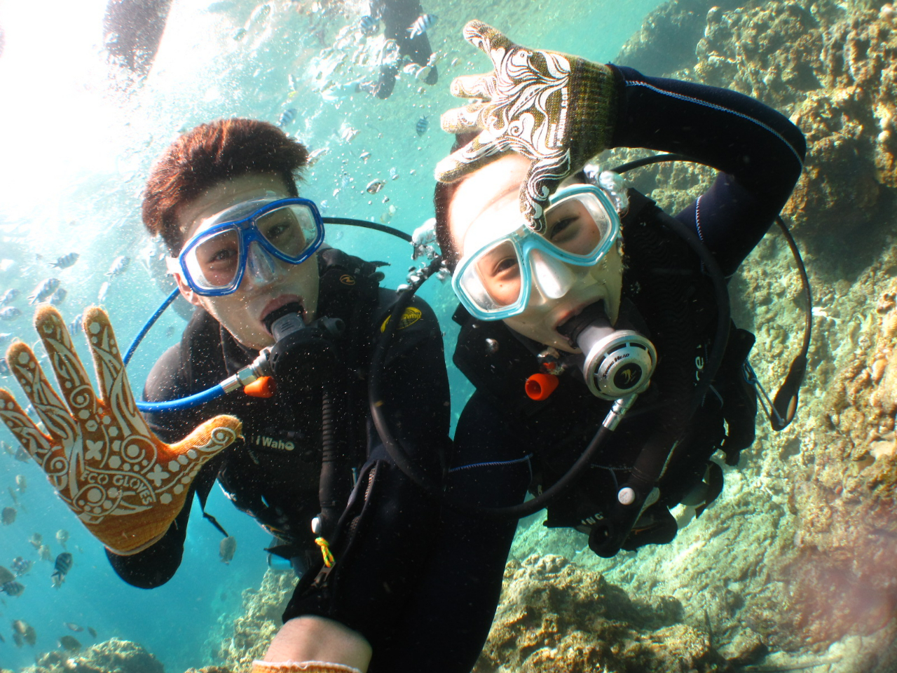 |Cg͂ɂC̊C̃RfVɍ킹ĊJÂĂ܂I