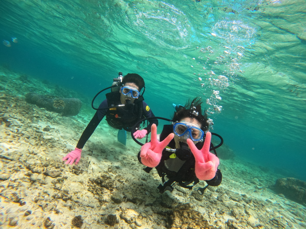 ̓_CrOŐEցQR[XZbgłłႤȃR[XłB