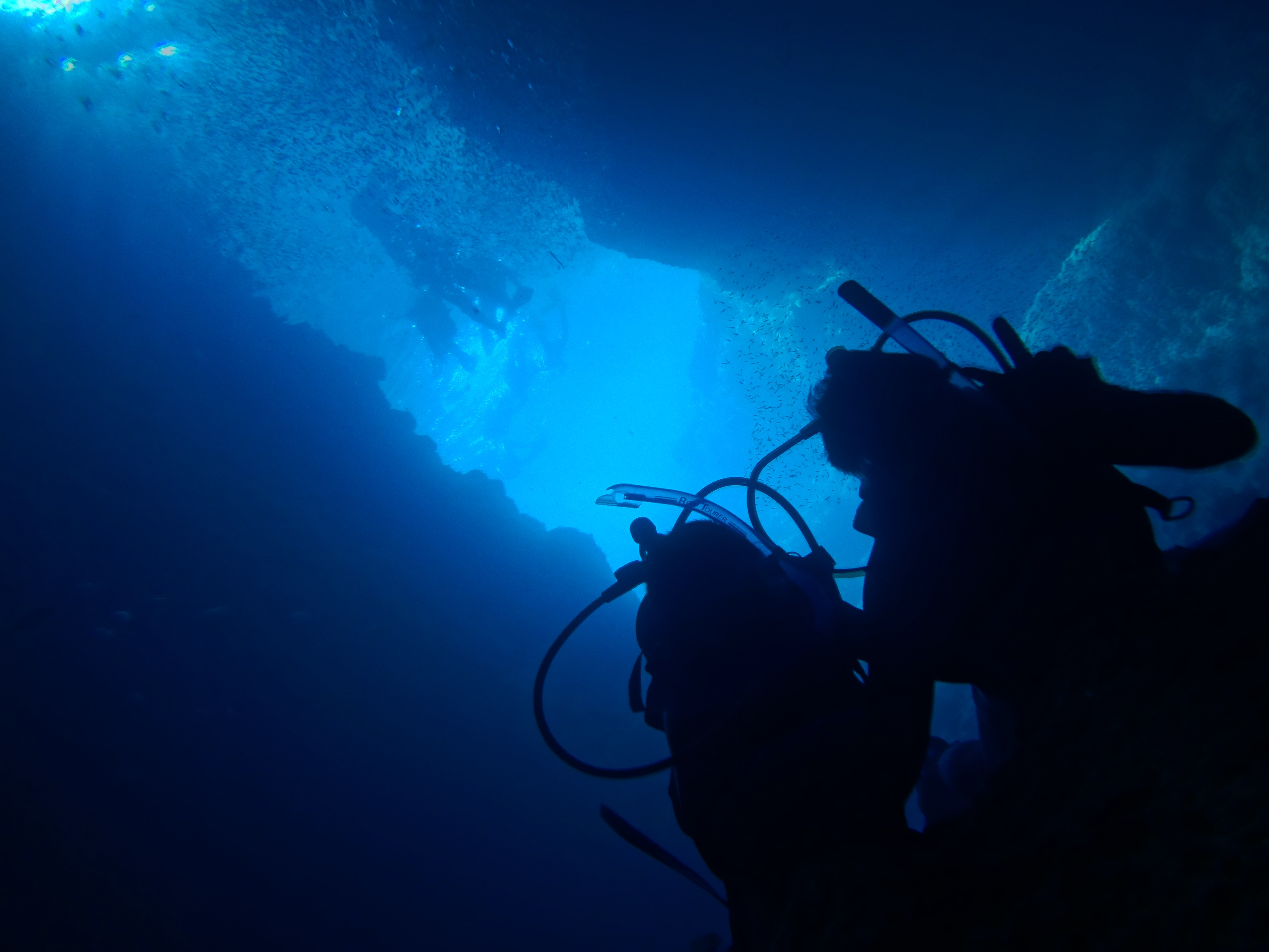 Ał̃VGbgʐ^BeȂȂfGł