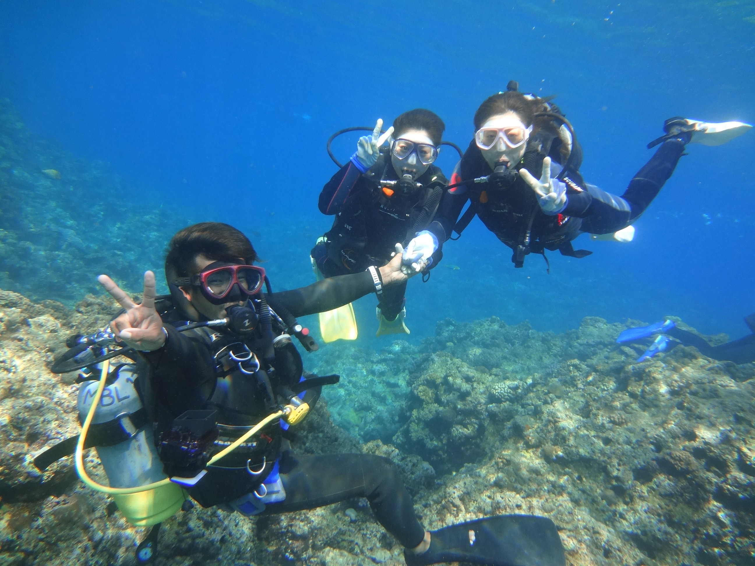 ߂Ă̕SĂQIꑮCXgN^[ST|[g܂I