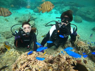 沖縄の海を満喫コースのセットコース!スノーケルとダイビングどちらも楽しめちゃいます♪