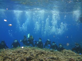 皆で潜って沖縄の海の思い出を作りませんか?水中写真や動画もバシバシ撮影いたします!