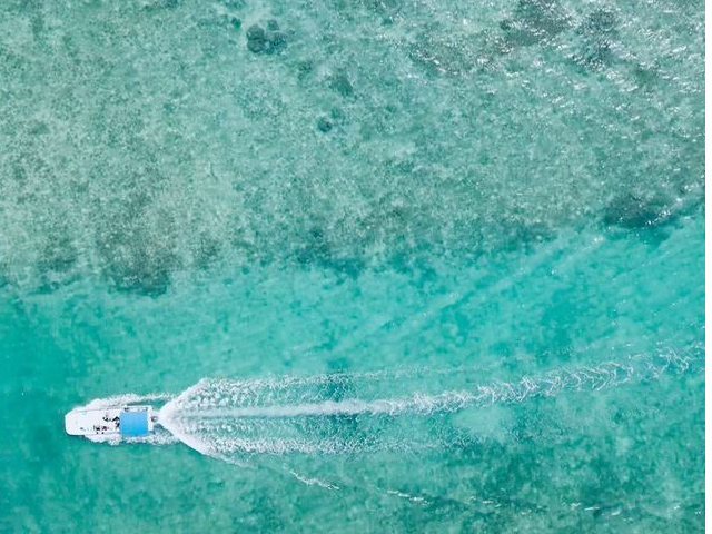 D`[^[ď㎿ȃ_CrOXm[P̔CŁEEE