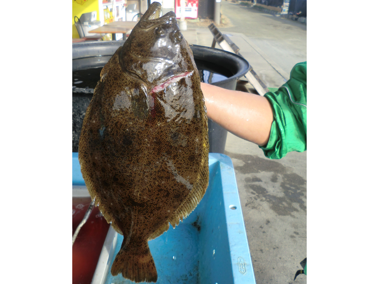 ���݂₰�t���ł��B