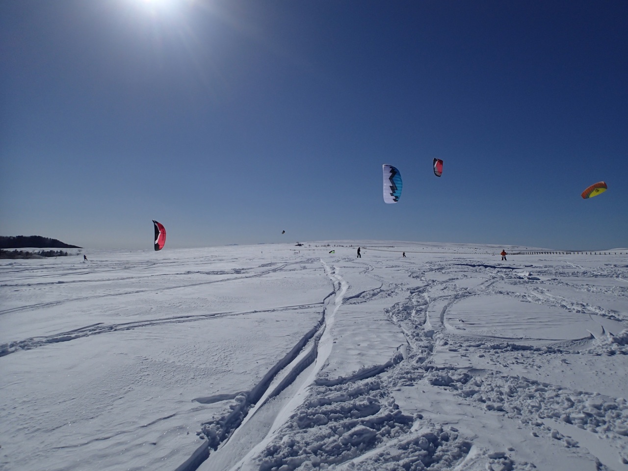 ƐFƂǂ̃JCgtB[hʂ܂B