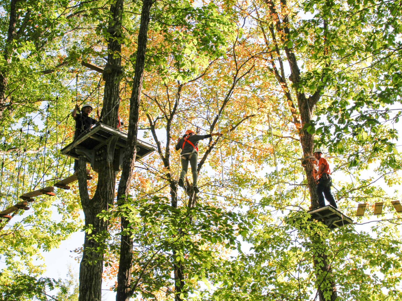 様々な難易度のエレメントに挑戦。