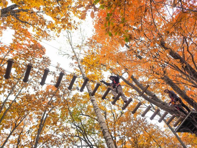 HOA北海道アウトドアアドベンチャーズ:MAGIC MONKEY TOUR ジップライン&ハイロープコース