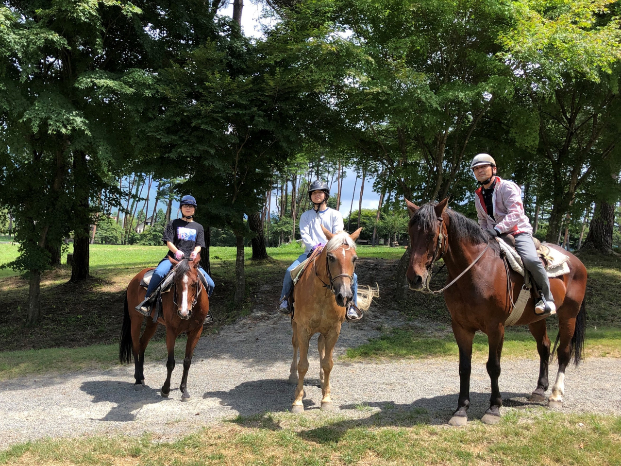 �m�V�΂̏�n�̌��n�����z�˂��̒��ł��A�΂��ӂ�锪���x�R�[�̐��X���������N�[���_�E�����Ă���܂��� 