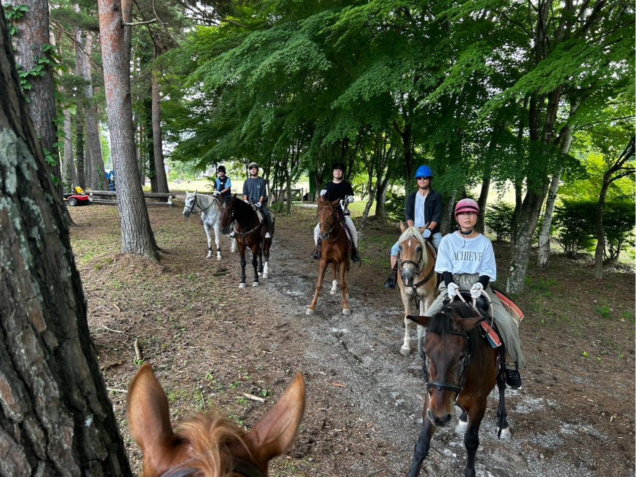 mƑƂ̏ňn΂Ă邲JƂāAňŐSgƂɃtbVĂ܂ 