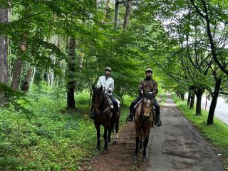 【乗馬レッスン+外乗トレッキング60分】初めてでも体験できる大人気プランに、外乗トレッキング60分・ロングバージョンが登場!!