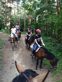 mOgbLOnnł̗Ǩ́AxR[֊OgbLOɏoł