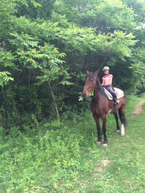 厩RƗDnƉ߂ԂqܒBɗǂoƂȂĂ悤A`܂