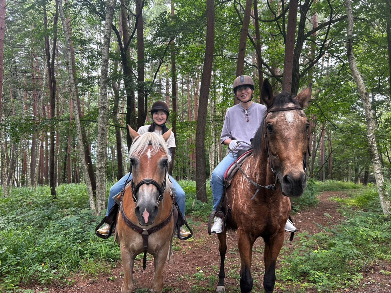 z˂̒łA΂ӂ锪xR[̐XN[_EĂ܂