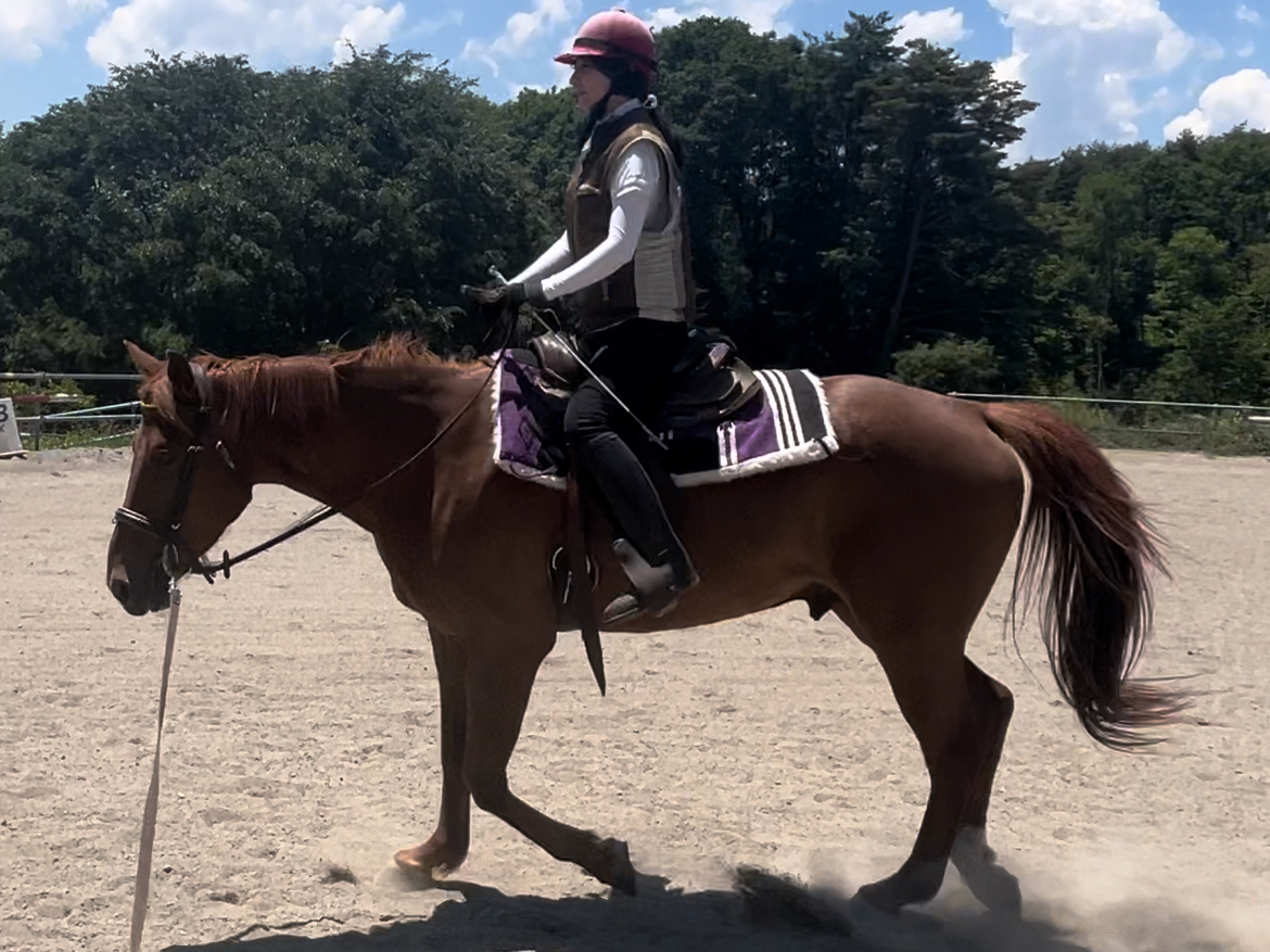 ܂́AnɏĂ݂܂񂩁H CXgN^[n̊{₳܂B