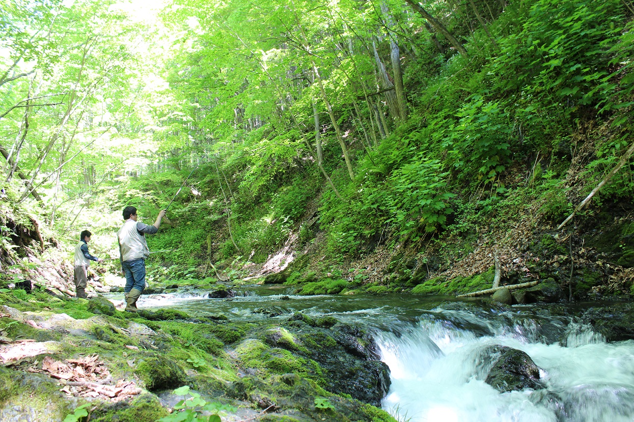 渓流釣り体験