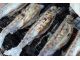 釣れた魚は塩焼きにして食べることもできます!