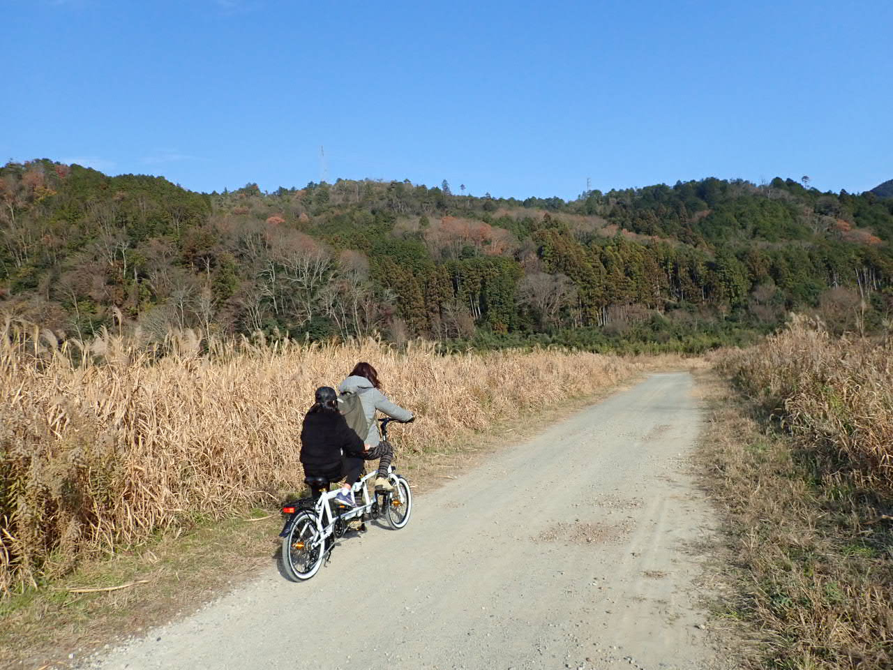 sET̎R𖞋iBH̍gt𒭂߂Ȃ̃TCNOł`