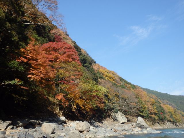 紅葉の保津川