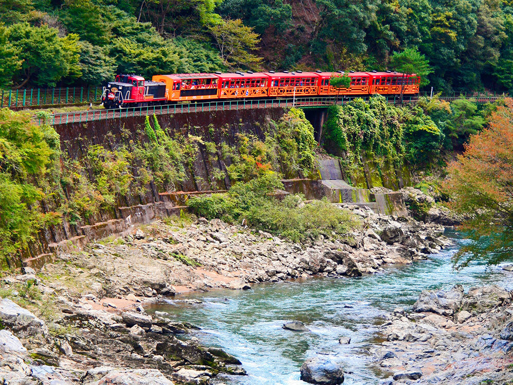 ےÐiރgbRԁBG߂ɂČiFςi̗BےÐł̓teBOy߂܂B