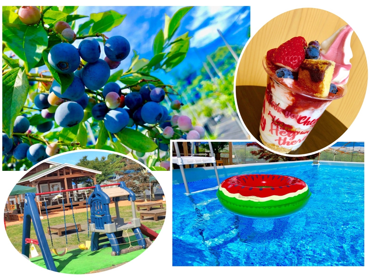 ブルーベリー狩り プール 愛成パーク入園料 全てコミコミ 1日中遊べるお得プラン 愛成ベリー じゃらん遊び体験
