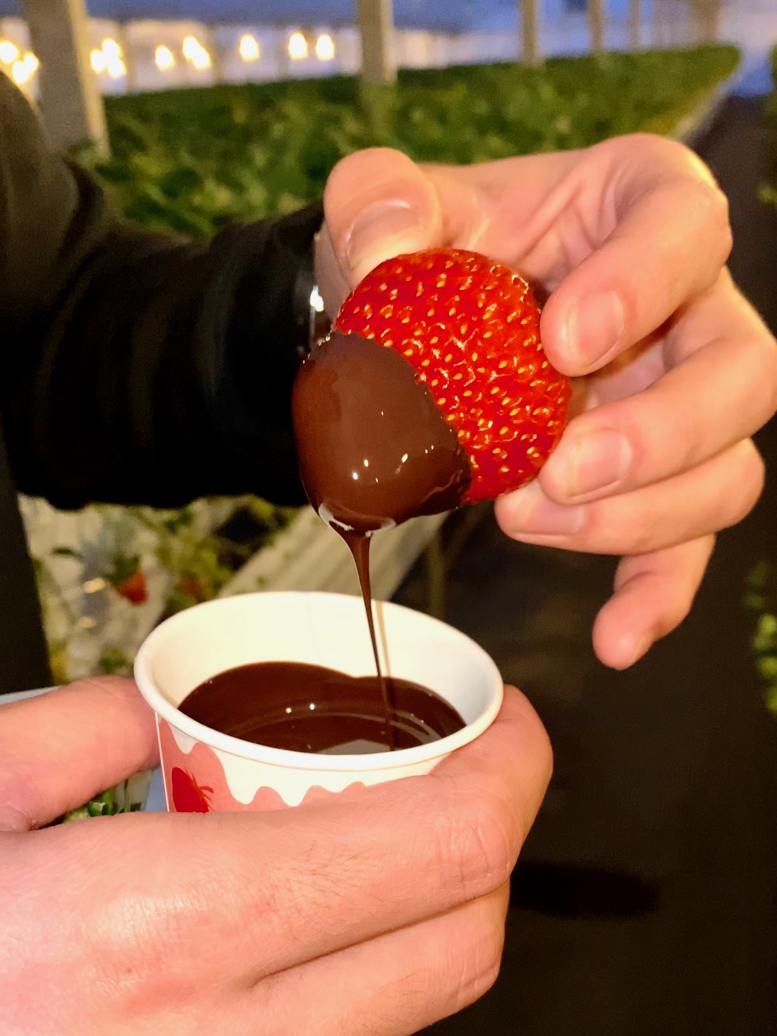 NVoI`RfBbv͕ʓrły݂܂