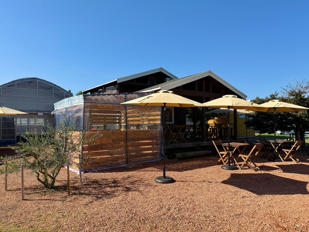 eXȂIƑEFBEJbvőfGȎԂ߂