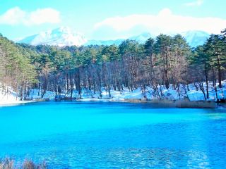 雪原の中に輝く五色沼