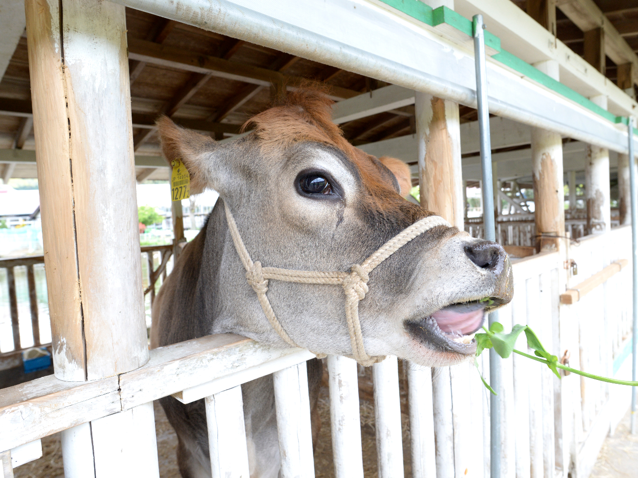 €EЂEEЂEw̌xł܂B