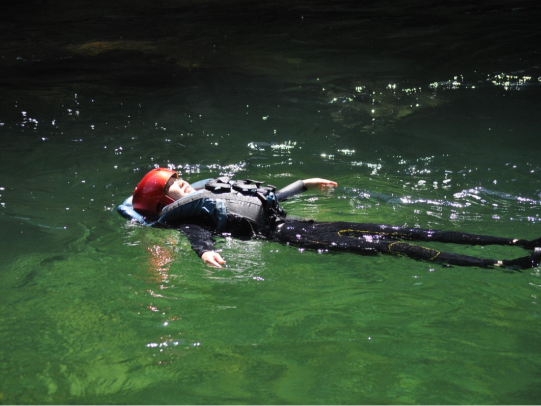 ĂɂȂƗꂪقƂǂȂȂƐʂČ܂