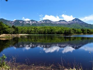 知床五湖の美しさは湖越しに見る知床連山の姿。緑の森と青い山をお楽しみ頂けます。