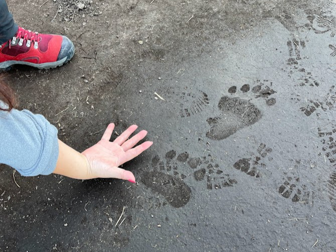 �r���q�O�}�̑��Ղ�A�q�O�}�̒܍��������I