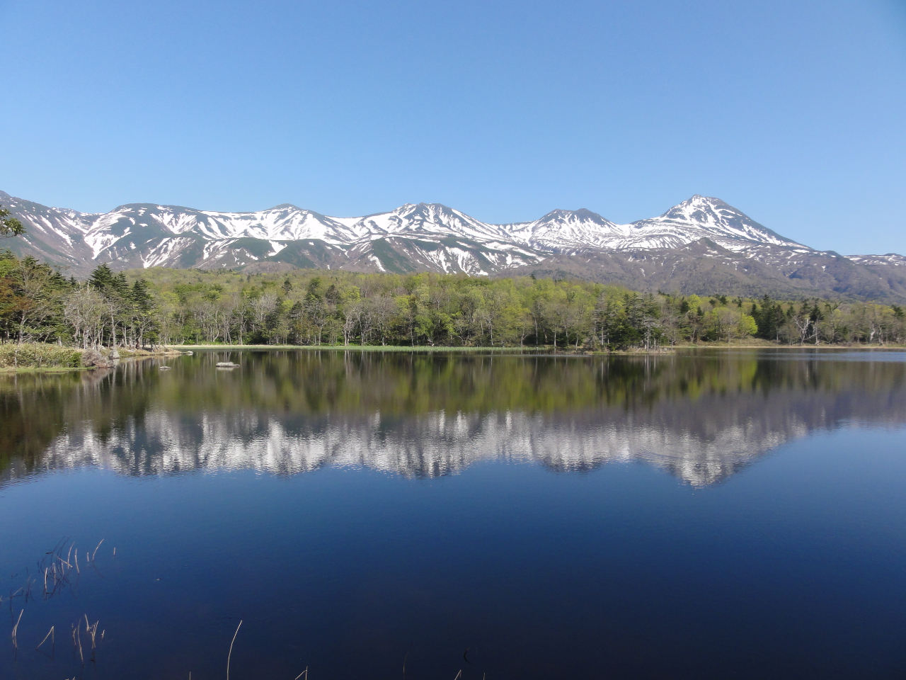 ��3�΂ł͂܂�ŊG��̂悤�ȕ��i�ɏo����Ƃ�����܂��B