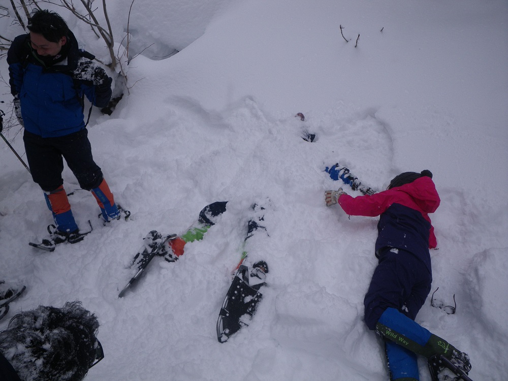 ̃pE_[Xm[ɐQ]ėVł݂