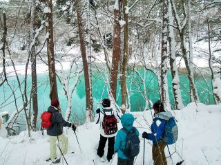 真っ白な雪原の中で青色がよりいっそう映える「青沼」