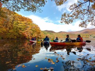 紅葉に包まれる、贅沢なひととき