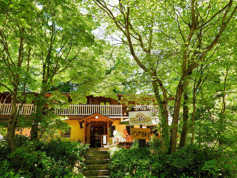 qَ̂q kY̎RgĂَqpӂĂ܂I