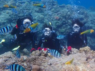 初めてでもたくさんのお魚とご対面