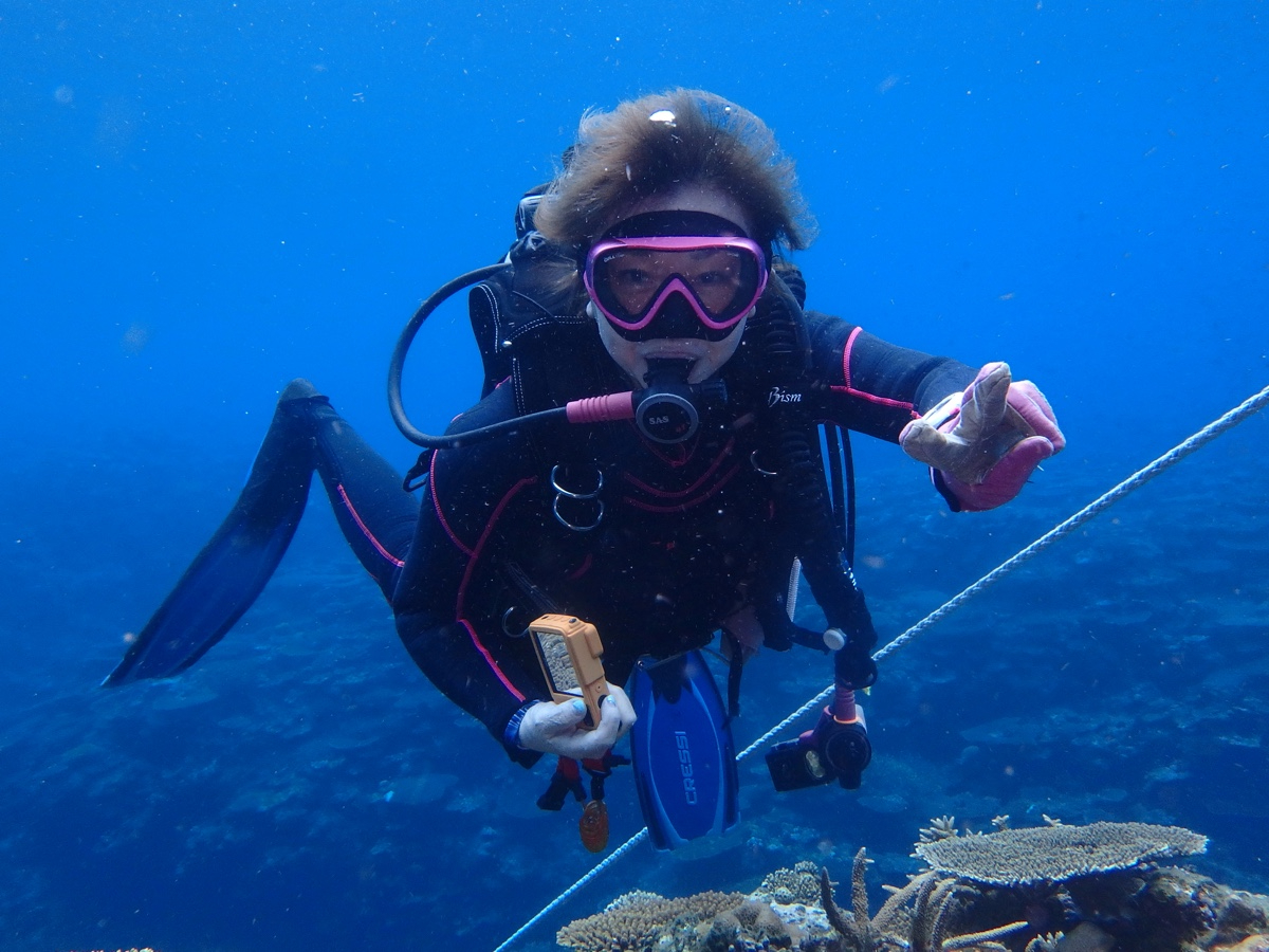 ����l�ł����v